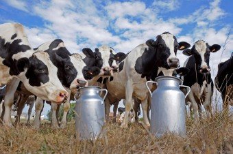 В Туркменистане высококачественная продукция «Beýik geljek» насыщает рынок