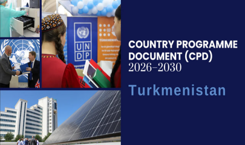 В Туркменистане стартует новая программа ПРООН на 2026–2030 годы
