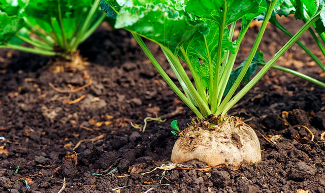 na-torgah-gtsbt-obshaya-summa-sdelok-sostavila-svyshe-7-millionov-763-tysyac-dollarov-ssha