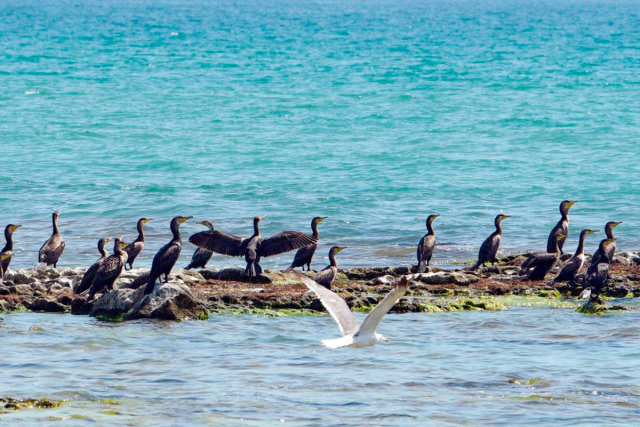 na-torgah-gtsbt-obshaya-summa-sdelok-sostavila-svyshe-7-millionov-763-tysyac-dollarov-ssha