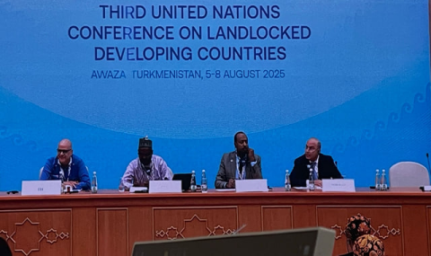 Аваза стала площадкой для стратегических проектов стран Сахеля