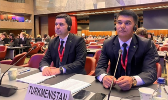 Туркменистан участвует в работе 116-й сессии Совета МОМ