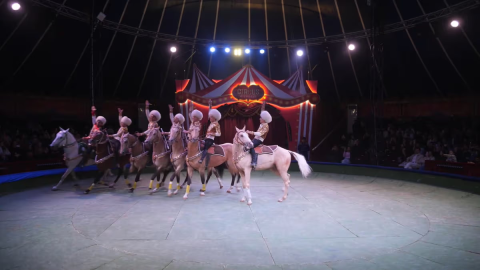 Туркменские джигиты показали мастерство Эмину Агаларову