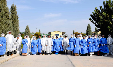 В Туркменистане проходит тренинг по борьбе с бруцеллёзом
