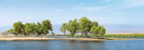 В Ашхабаде обсудили ключевые вопросы водных ресурсов в Центральной Азии