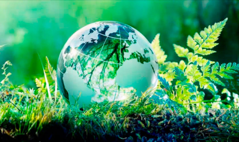 Туркменистан призвал страны региона к совместным экологическим усилиям