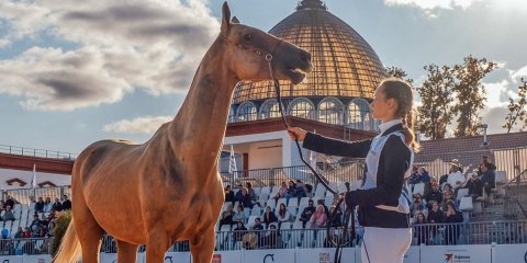 Зрелищный парад красоты ахалтекинских и арабских лошадей на ВДНХ