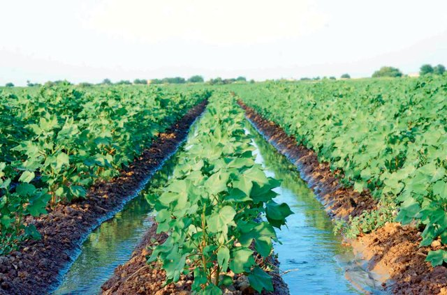 na-torgah-gtsbt-obshaya-summa-sdelok-sostavila-svyshe-7-millionov-763-tysyac-dollarov-ssha