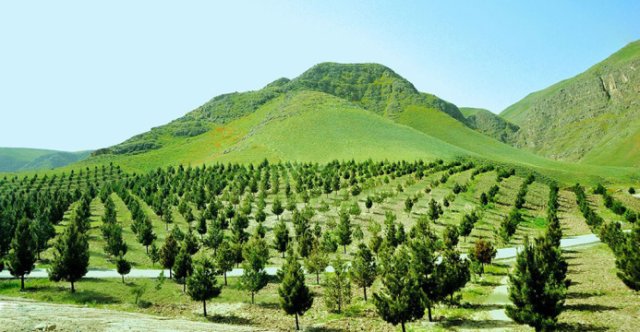 na-torgah-gtsbt-obshaya-summa-sdelok-sostavila-svyshe-7-millionov-763-tysyac-dollarov-ssha