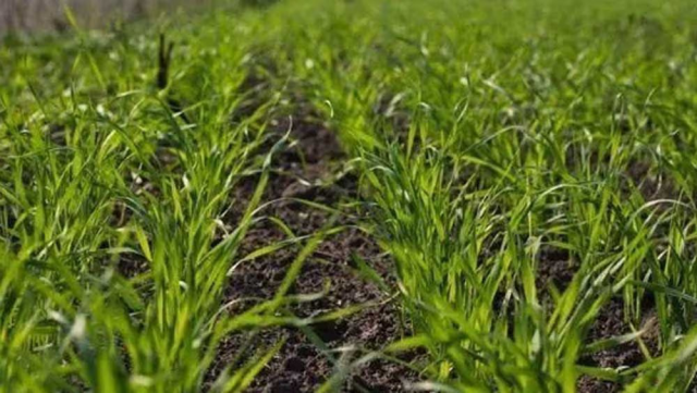 na-torgah-gtsbt-obshaya-summa-sdelok-sostavila-svyshe-7-millionov-763-tysyac-dollarov-ssha