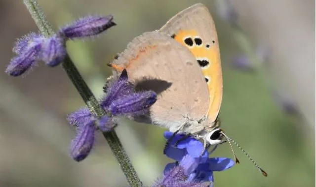 na-torgah-gtsbt-obshaya-summa-sdelok-sostavila-svyshe-7-millionov-763-tysyac-dollarov-ssha