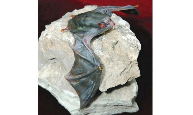 na-torgah-gtsbt-obshaya-summa-sdelok-sostavila-svyshe-7-millionov-763-tysyac-dollarov-ssha