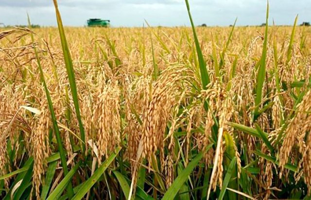 na-torgah-gtsbt-obshaya-summa-sdelok-sostavila-svyshe-7-millionov-763-tysyac-dollarov-ssha