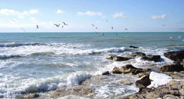 na-torgah-gtsbt-obshaya-summa-sdelok-sostavila-svyshe-7-millionov-763-tysyac-dollarov-ssha