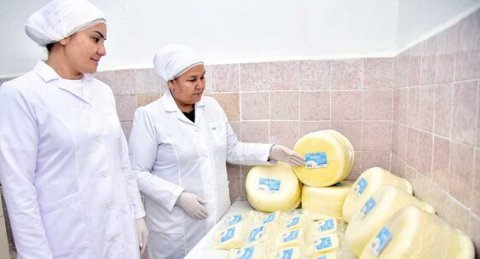 Туркменское предприятие 