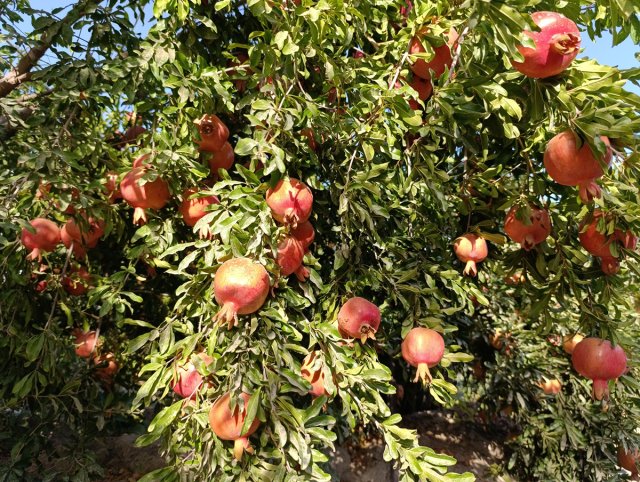 na-torgah-gtsbt-obshaya-summa-sdelok-sostavila-svyshe-7-millionov-763-tysyac-dollarov-ssha