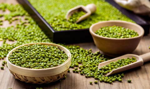 В Дашогузском велаяте Туркменистана завершена посадка маша, нойбы и кунжута