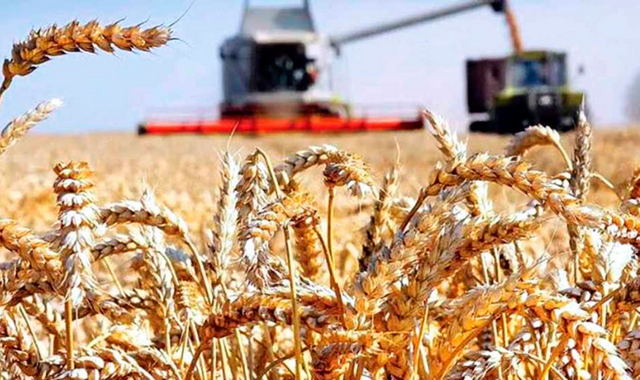 na-torgah-gtsbt-obshaya-summa-sdelok-sostavila-svyshe-7-millionov-763-tysyac-dollarov-ssha