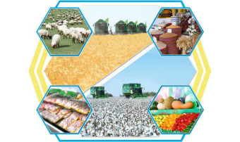 Туркменистан проводит зимний мониторинг сельхозугодий