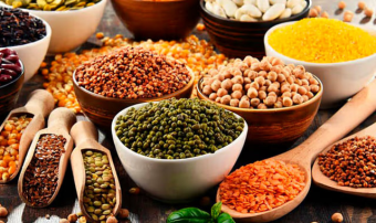 Агропром Туркменистана переходит на научную основу