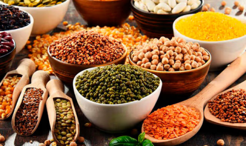 Агропром Туркменистана переходит на научную основу