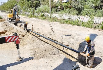 Работа «Lebapgazüpjünçilik» на благо жителей Лебапского региона Туркменистана