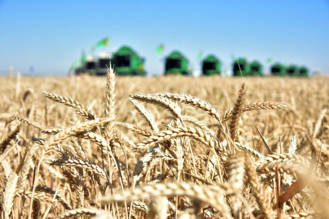 na-torgah-gtsbt-obshaya-summa-sdelok-sostavila-svyshe-7-millionov-763-tysyac-dollarov-ssha