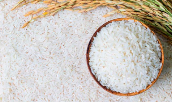 Урожай риса в Дашогузском велаяте Туркменистана превысил 35 тысяч тонн