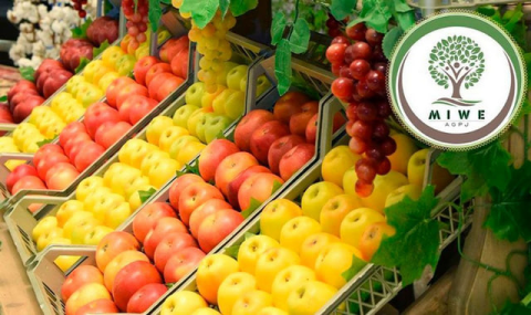 В Туркменистане собрали 180 тонн яблок и персиков