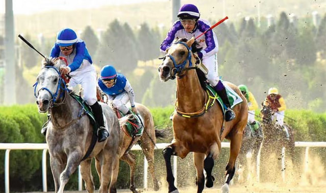 na-torgah-gtsbt-obshaya-summa-sdelok-sostavila-svyshe-7-millionov-763-tysyac-dollarov-ssha