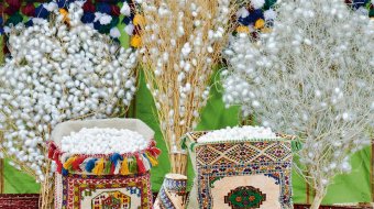 Шёлководы Какинского этрапа готовятся к новому сезону