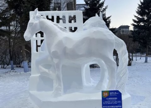 Туркменские студенты завоевали «серебро» на конкурсе снежных скульптур в Китае