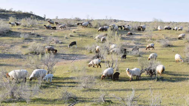 na-torgah-gtsbt-obshaya-summa-sdelok-sostavila-svyshe-7-millionov-763-tysyac-dollarov-ssha