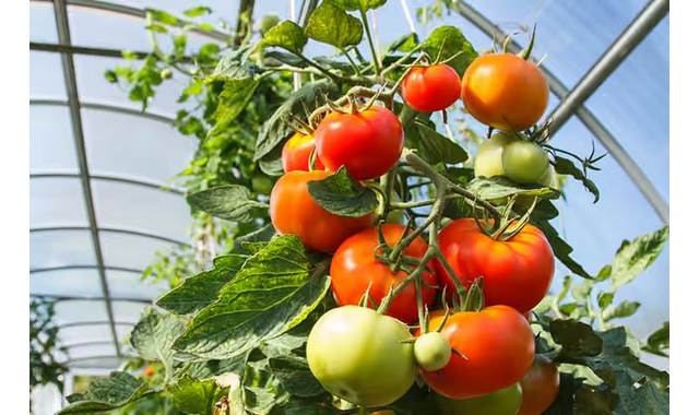 na-torgah-gtsbt-obshaya-summa-sdelok-sostavila-svyshe-7-millionov-763-tysyac-dollarov-ssha