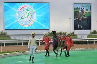 Весенний сезон скачек торжественно открыт в Лебапском велаяте