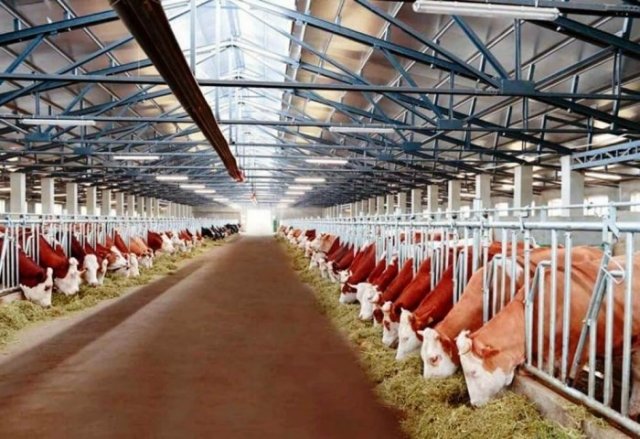 na-torgah-gtsbt-obshaya-summa-sdelok-sostavila-svyshe-7-millionov-763-tysyac-dollarov-ssha