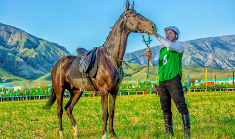 Ахалтекинские скакуны олицетворяют целеустремлённость Туркменистана