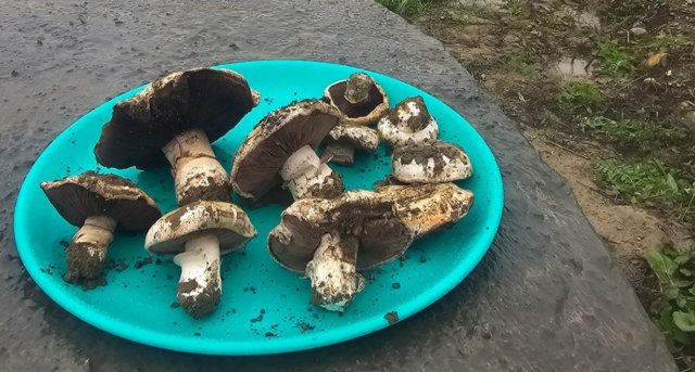 na-torgah-gtsbt-obshaya-summa-sdelok-sostavila-svyshe-7-millionov-763-tysyac-dollarov-ssha