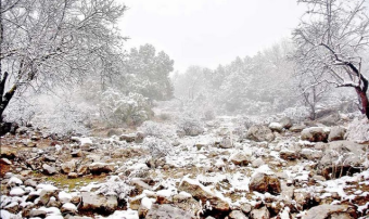 В Туркменистане наступил «uly çille» — наиболее холодный этап зимнего сезона