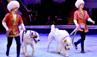 Государственный цирк Туркменистана подготовил программу к Новрузу