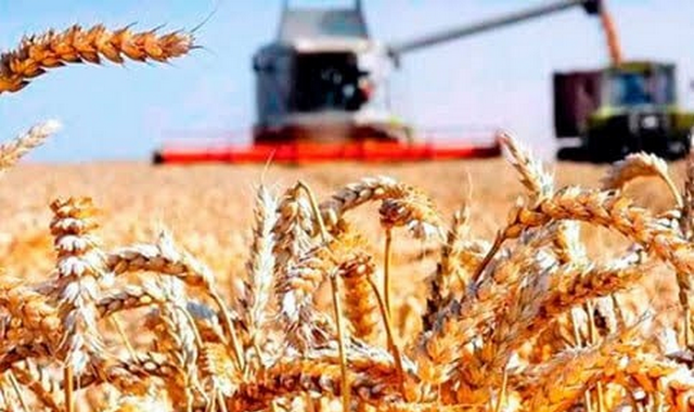 na-torgah-gtsbt-obshaya-summa-sdelok-sostavila-svyshe-7-millionov-763-tysyac-dollarov-ssha