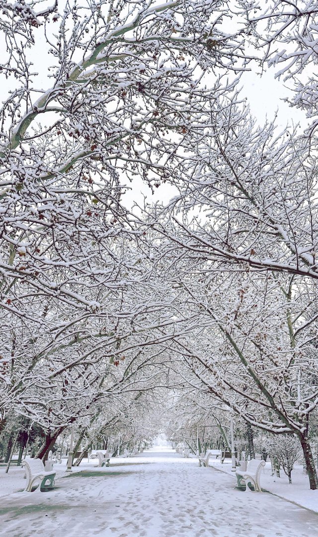 na-torgah-gtsbt-obshaya-summa-sdelok-sostavila-svyshe-7-millionov-763-tysyac-dollarov-ssha