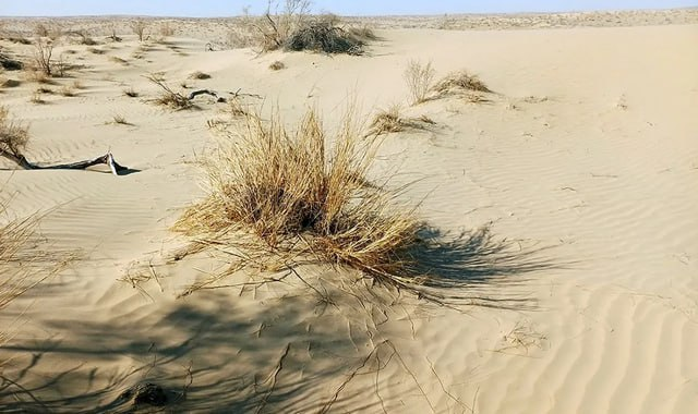 na-torgah-gtsbt-obshaya-summa-sdelok-sostavila-svyshe-7-millionov-763-tysyac-dollarov-ssha