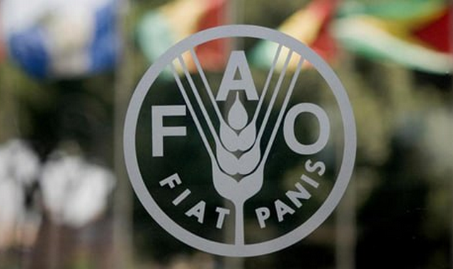 na-torgah-gtsbt-obshaya-summa-sdelok-sostavila-svyshe-7-millionov-763-tysyac-dollarov-ssha