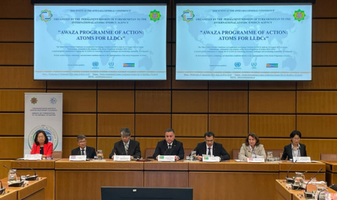 Туркменистан представил опыт применения атомной медицины в Вене