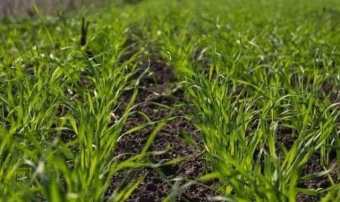 В Тахтабазаре стартует активная сельхозсезонная работа