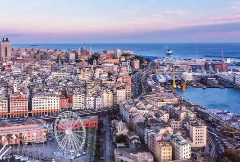 Туркменские бойцы джиу-джитсу подтвердили статус лидеров на турнире в Италии