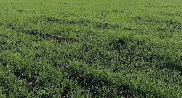 na-torgah-gtsbt-obshaya-summa-sdelok-sostavila-svyshe-7-millionov-763-tysyac-dollarov-ssha