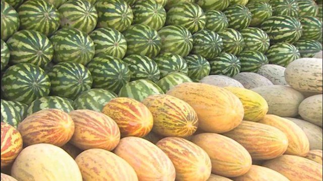 na-torgah-gtsbt-obshaya-summa-sdelok-sostavila-svyshe-7-millionov-763-tysyac-dollarov-ssha