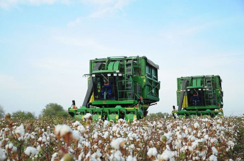 В Ахалском велаяте Туркменистана продолжаются работы по подготовке полей и посевов